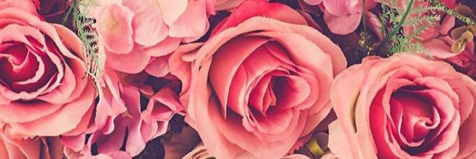 Araceli banner