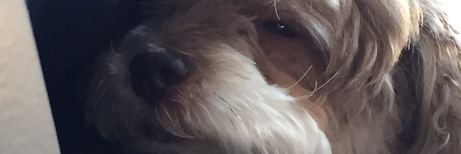 lingg_bennett's profile banner image