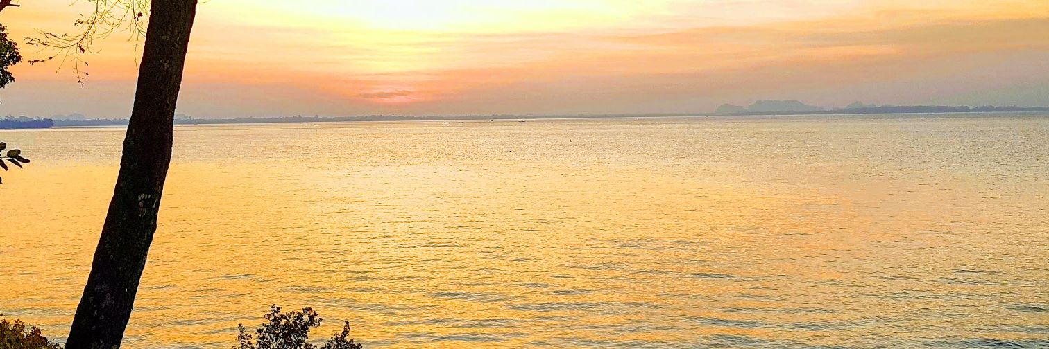 Andy_exoticvoy's profile banner image