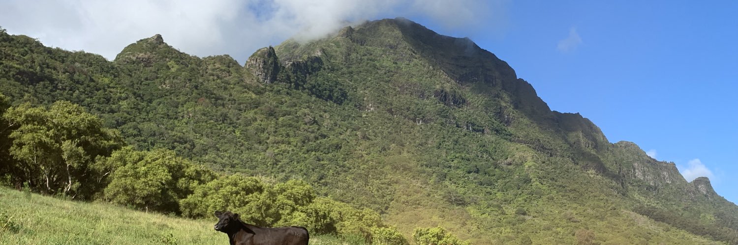 Rikki Tikki Savvy banner