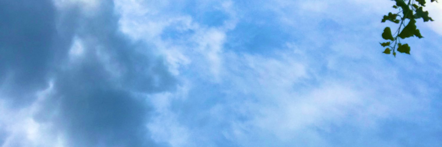 1dsfoolsgold's profile banner image