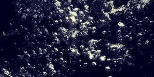 negropretel's profile banner image