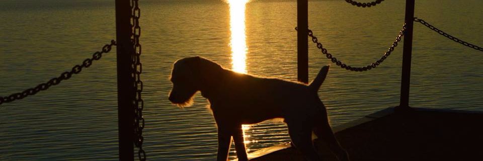 brstan's profile banner image