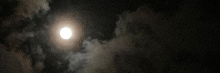 __q305's profile banner image