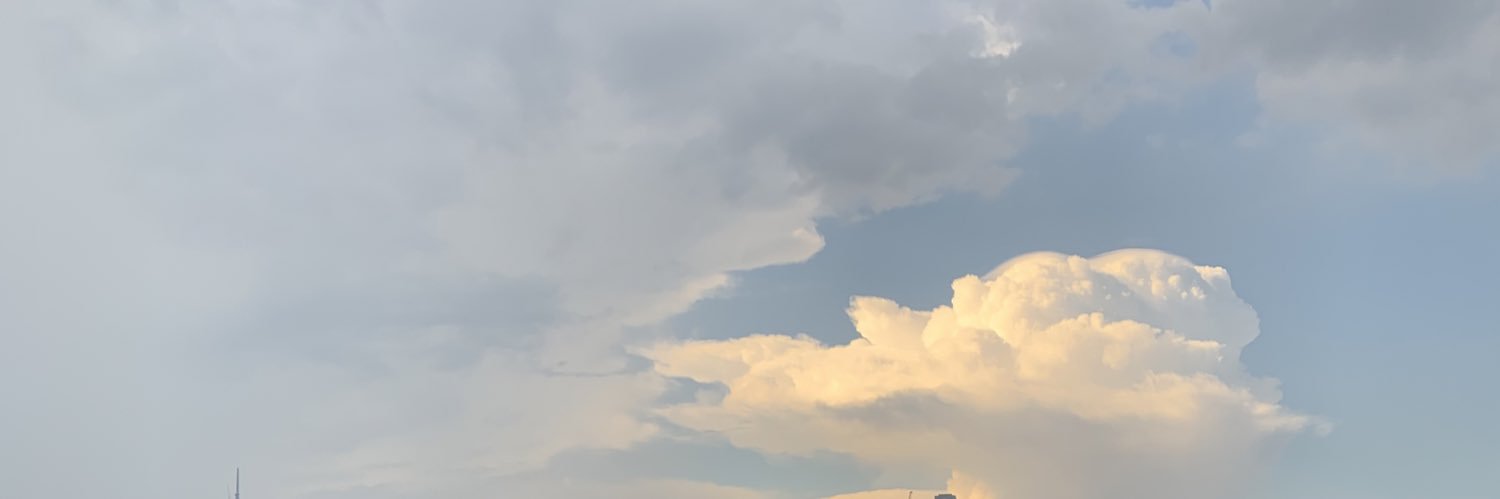 iamgerhana's profile banner image
