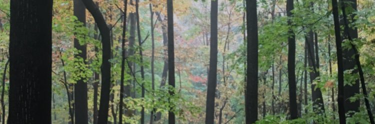 AlexMartin343's profile banner image