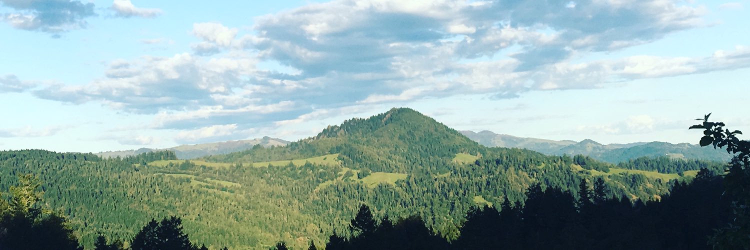 danareedkelly's profile banner image