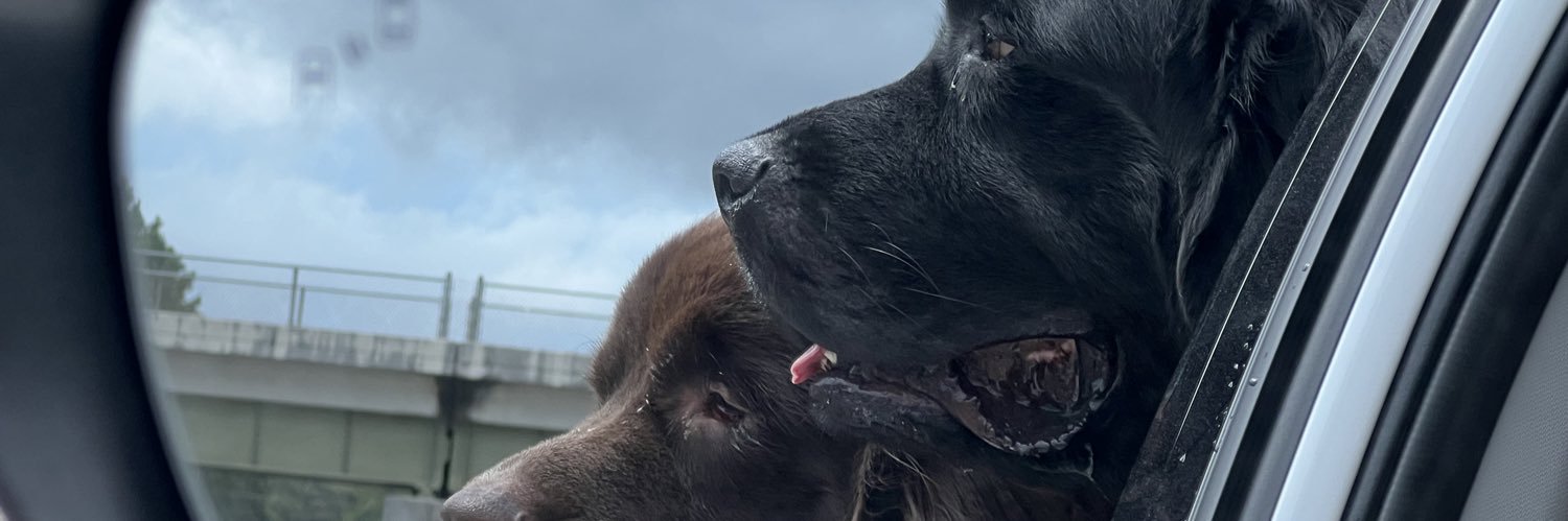 LauraGHammonds's profile banner image
