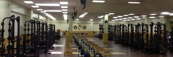 DP_Strength Profile Banner