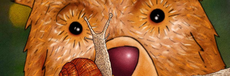 PesciBear's profile banner image