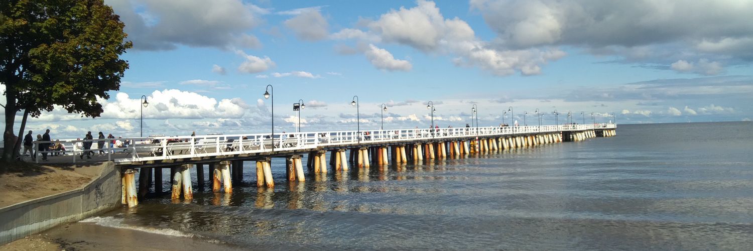 Marzena Pander banner