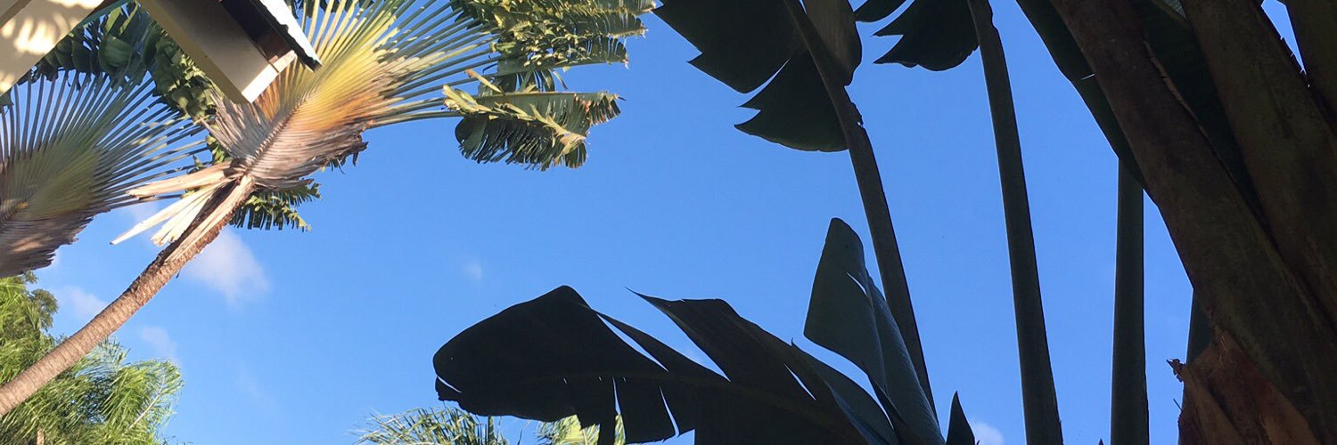 Annaov's profile banner image
