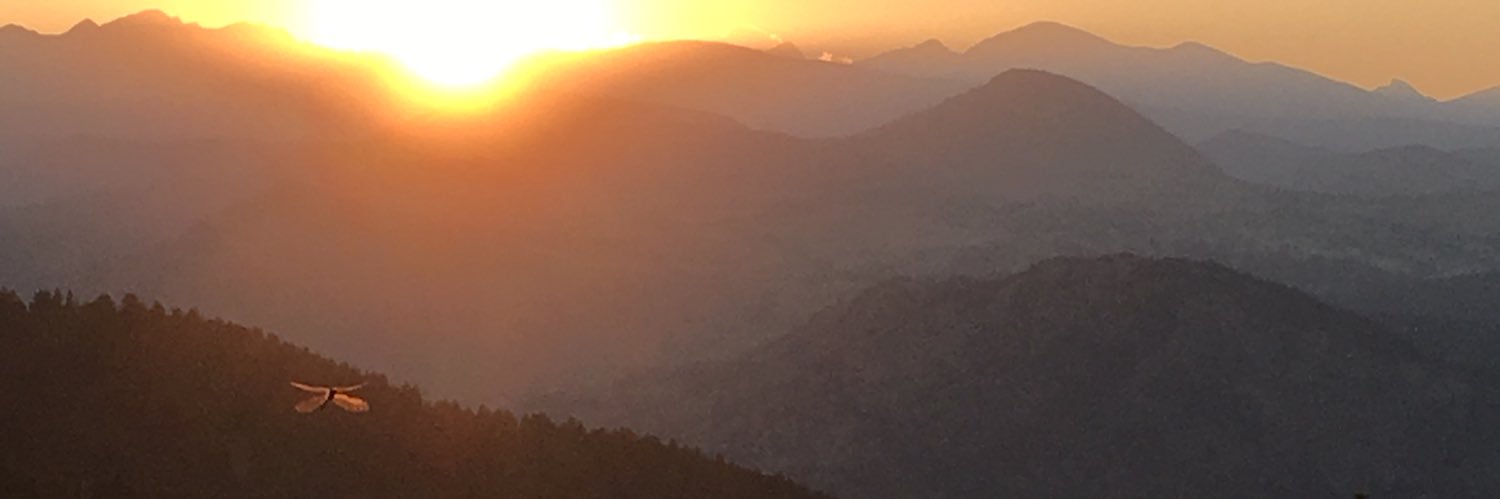sammycitro's profile banner image
