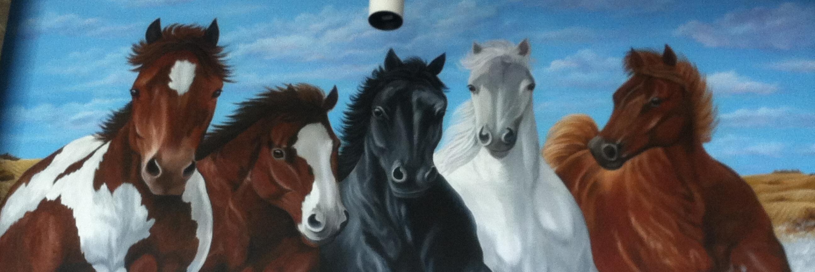 TVMustangs's profile banner image
