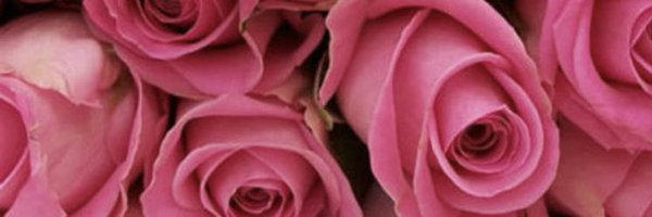 theashnicolee Profile Banner