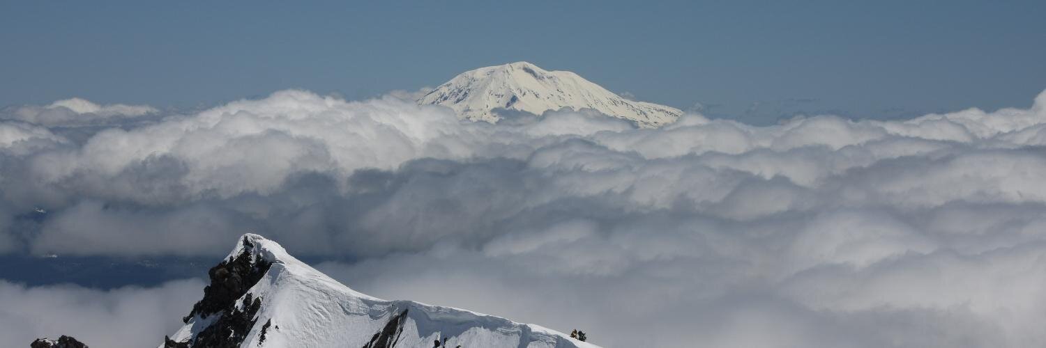 Oleg Melnikov banner