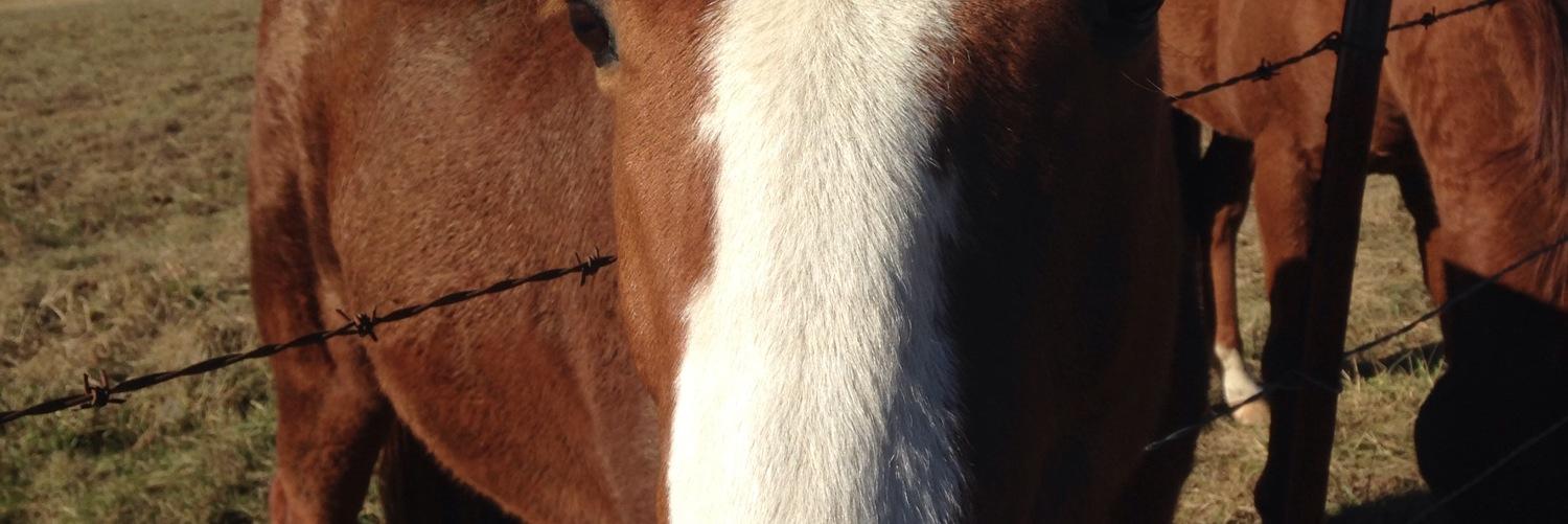 savlaw8's profile banner image
