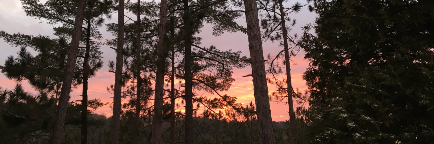 Jim Bronskill banner