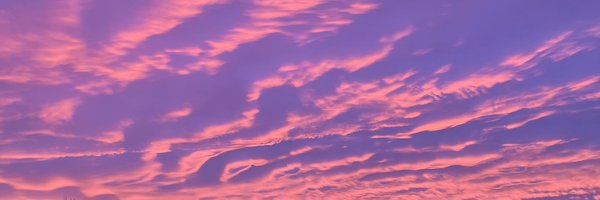 hazelcooper11 Profile Banner