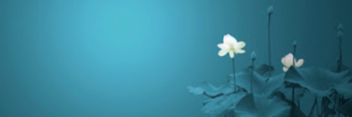5_sedra's profile banner image