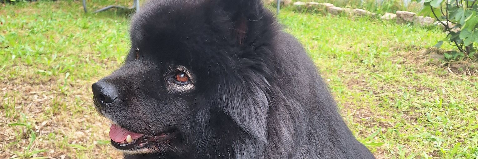 bananard_'s profile banner image