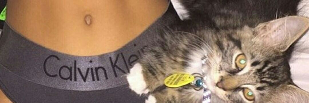 stoney banner