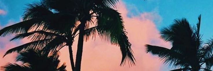 Sofi 🐤 banner