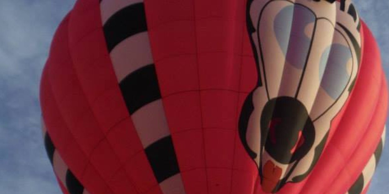 Mike Mihajlovic banner