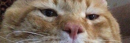 a_nasaeva's profile banner image