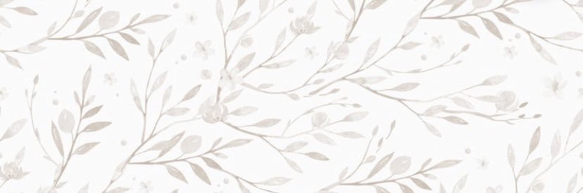 NicoleHadeed's profile banner image