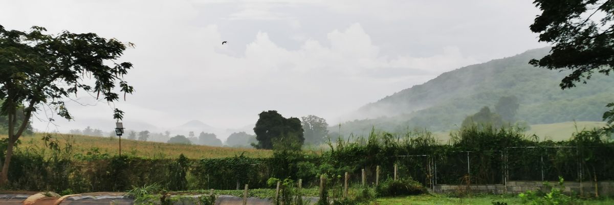prntweettweet's profile banner image