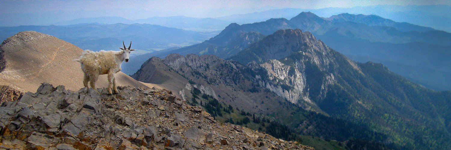 AlbertDickson1's profile banner image