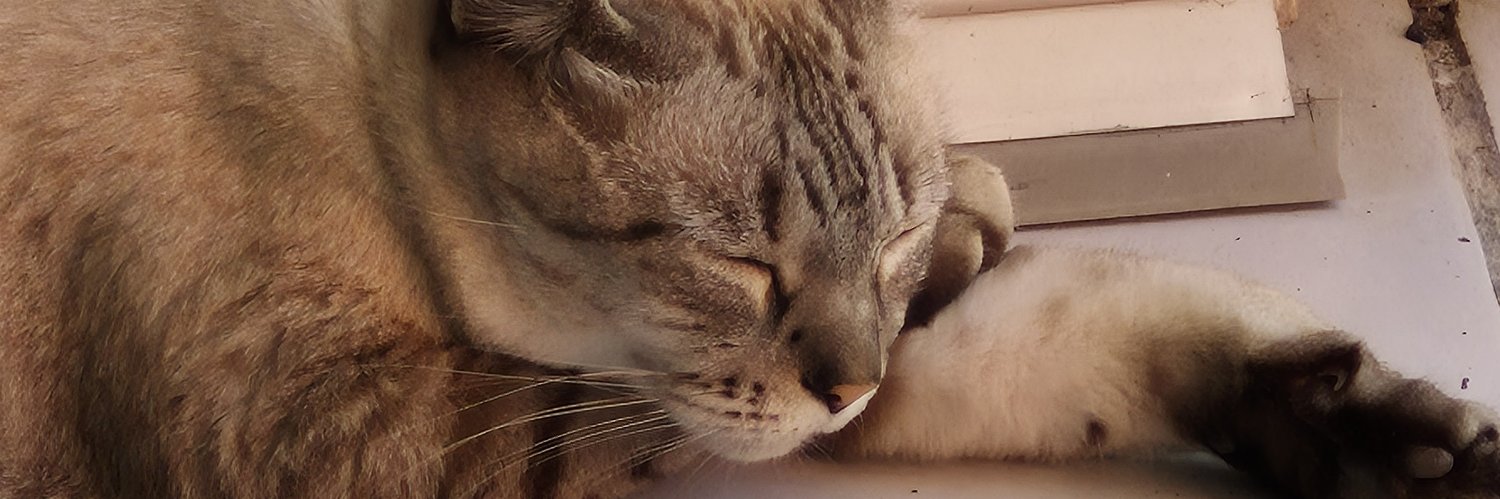 lisstomania's profile banner image