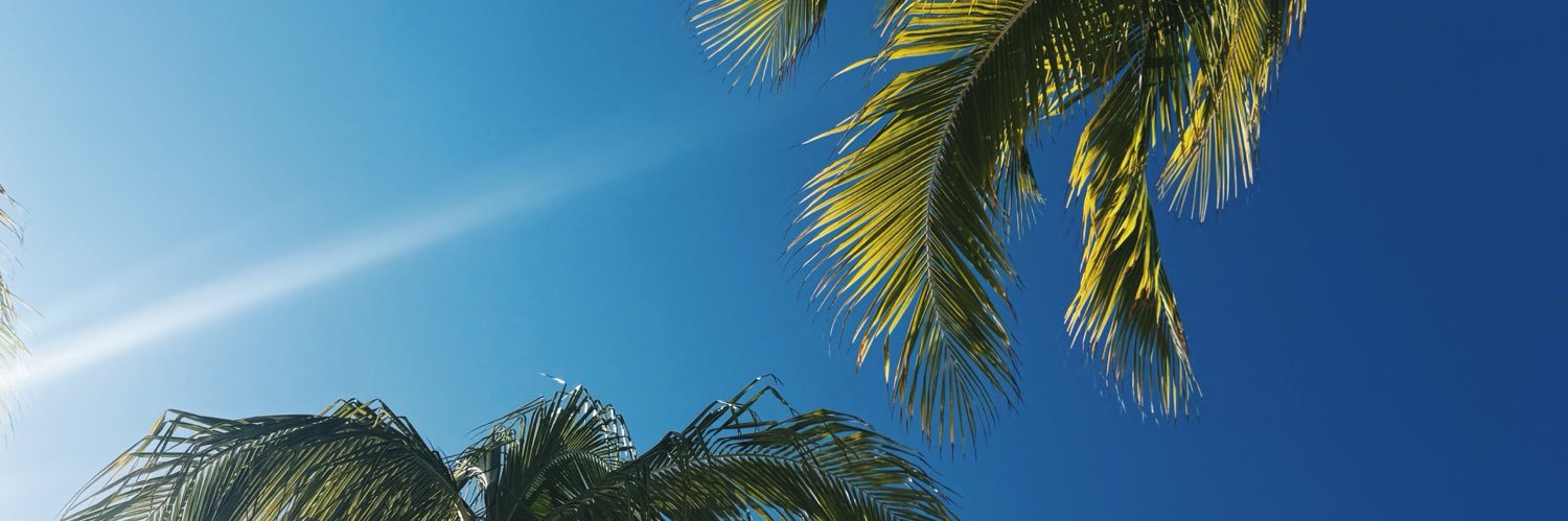 florrbermejo's profile banner image
