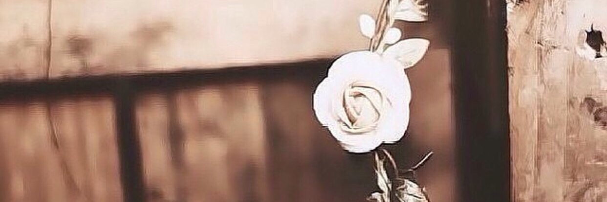 Dlooooah2012's profile banner image