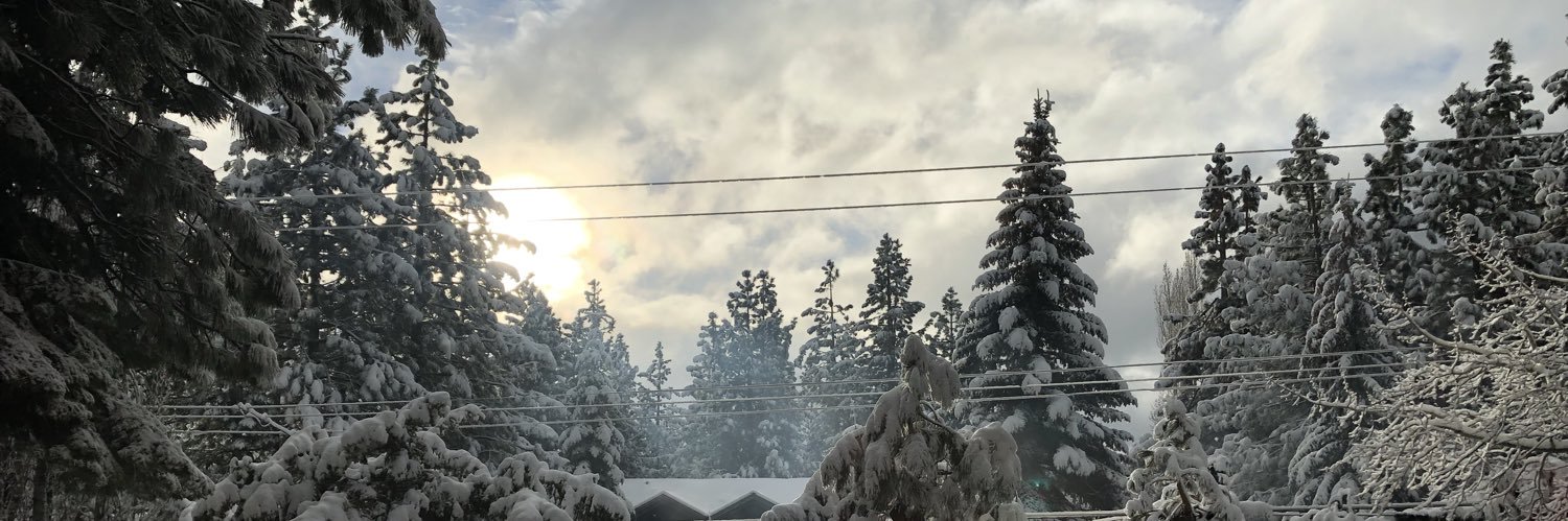aspenalves's profile banner image