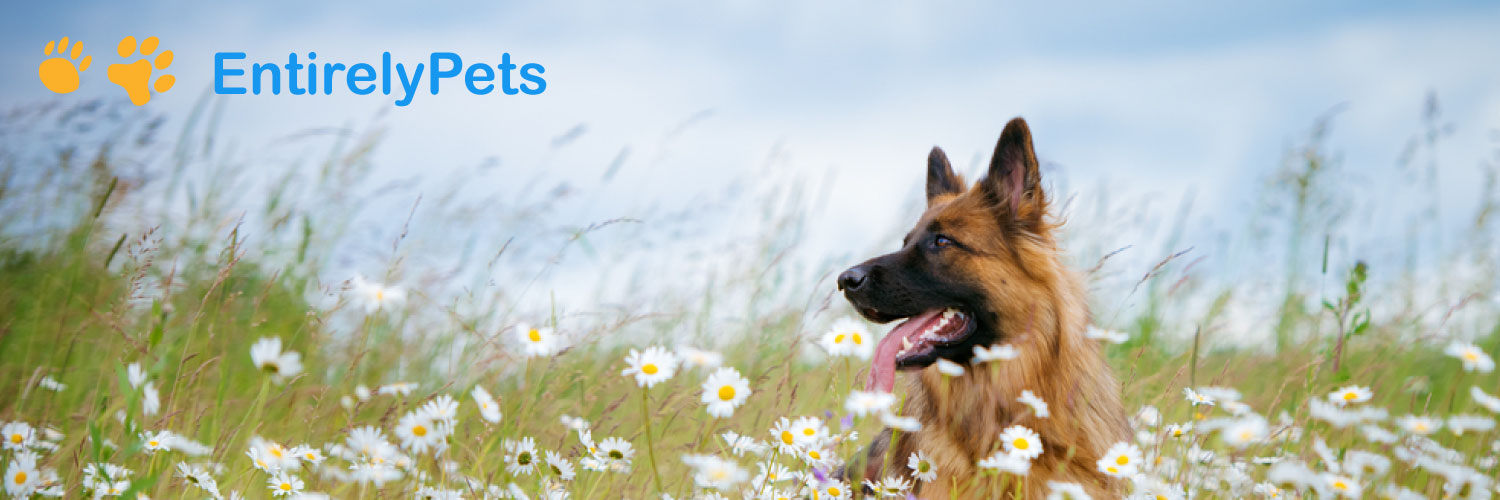 Entirely Pets banner