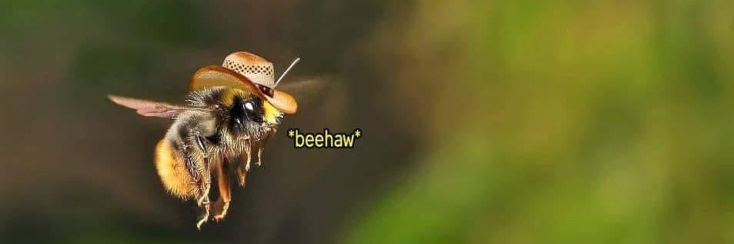 Breyoncereed's profile banner image