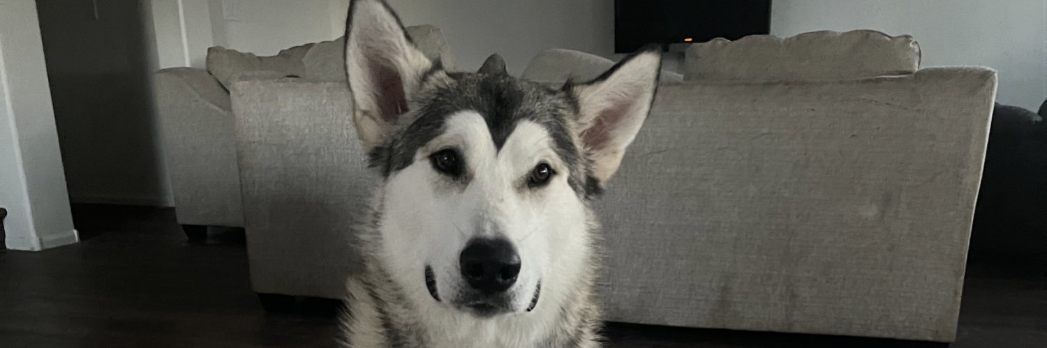 ZachPerrow's profile banner image