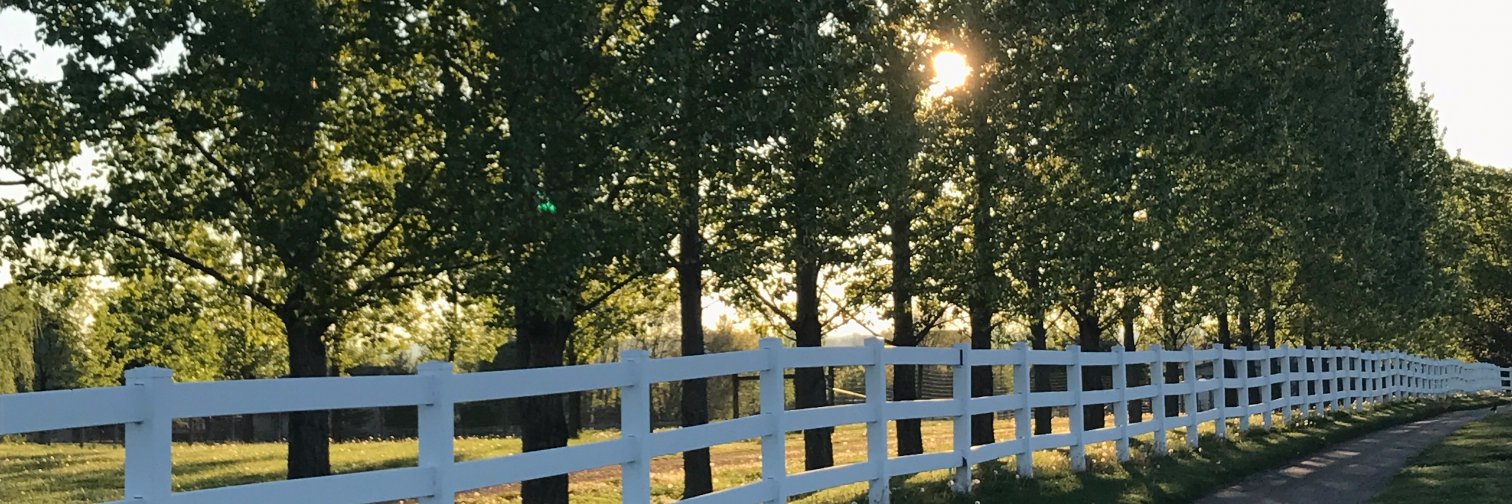 BarbaraEHogan's profile banner image