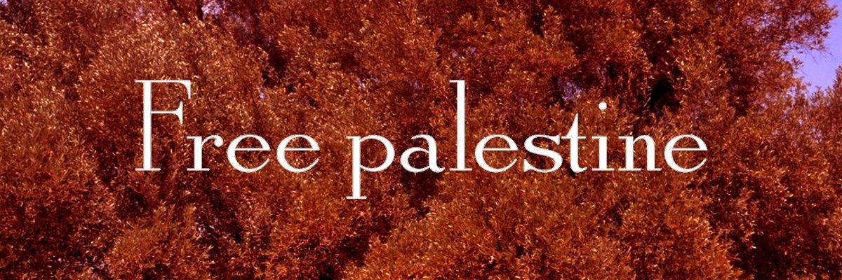 dark_passages's profile banner image