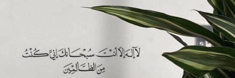 asoom_ziny's profile banner image