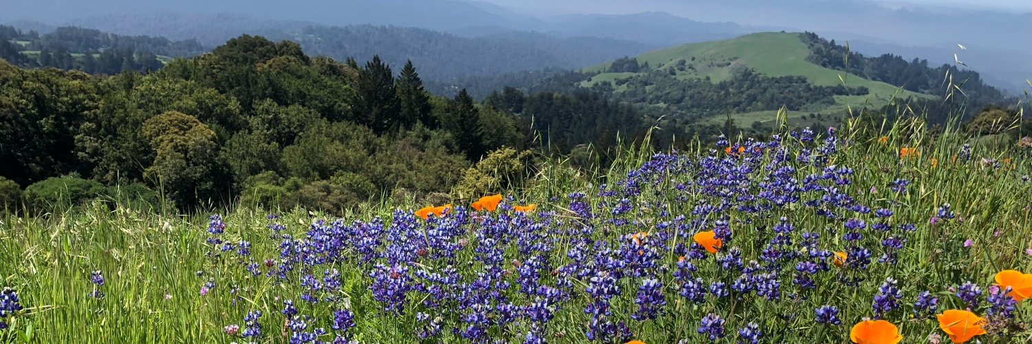 Valerie Bubb Fenwick banner