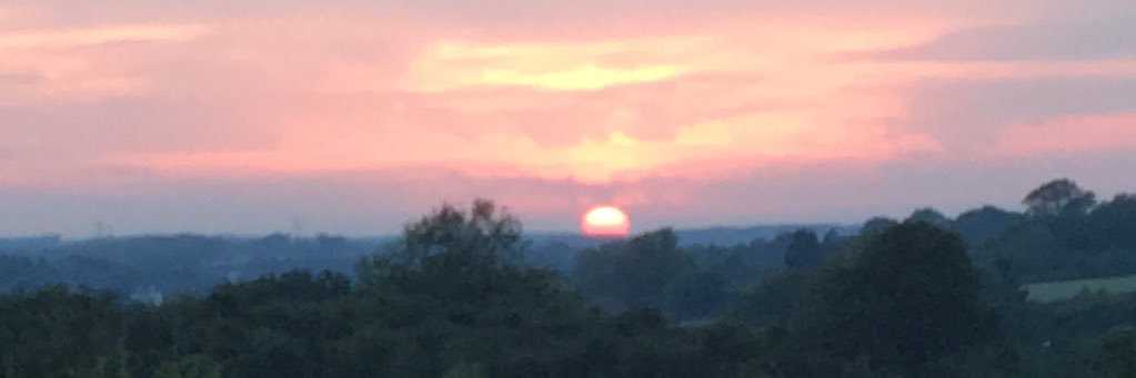 Ian Foddering banner