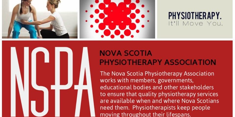 NS Physiotherapy banner
