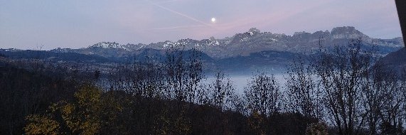 Broccio banner