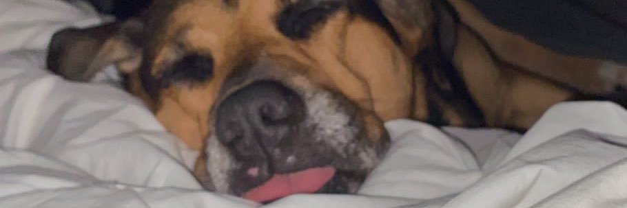 kelssgray's profile banner image