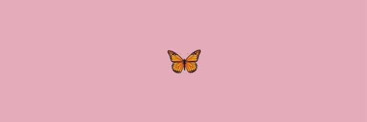 _chloewarren's profile banner image