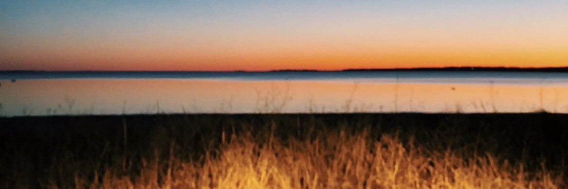 SW_NUNU's profile banner image