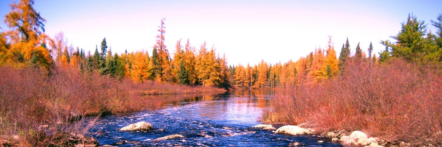 tdrichter's profile banner image